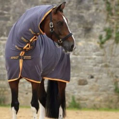 Horseware Ireland Amigo All In One Jersey Cooler
