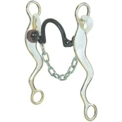 Reinsman Mike Beers Classic High Port Chain Shank Bit