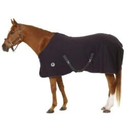 Centaur Turbo-Dry Sheet