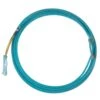 Cactus Ropes The Future Head Team Rope