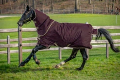 Horseware Amigo Hero Ripstop Plus Turnout 100g