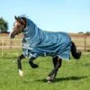 Horseware Amigo AmE 12 Plus Turnout Lite
