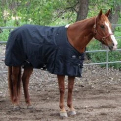 Professionals Choice Black 1200D Horse Blanket