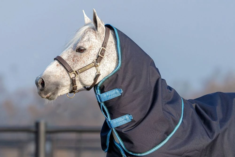 Horseware Ireland Amigo Bravo 12 T/O Hood 150g 1 Horseware Ireland Amigo Bravo 12 T/O Hood 150g