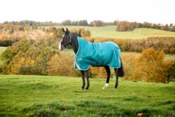 Horseware Ireland Amigo Bravo 12 Wug 250g