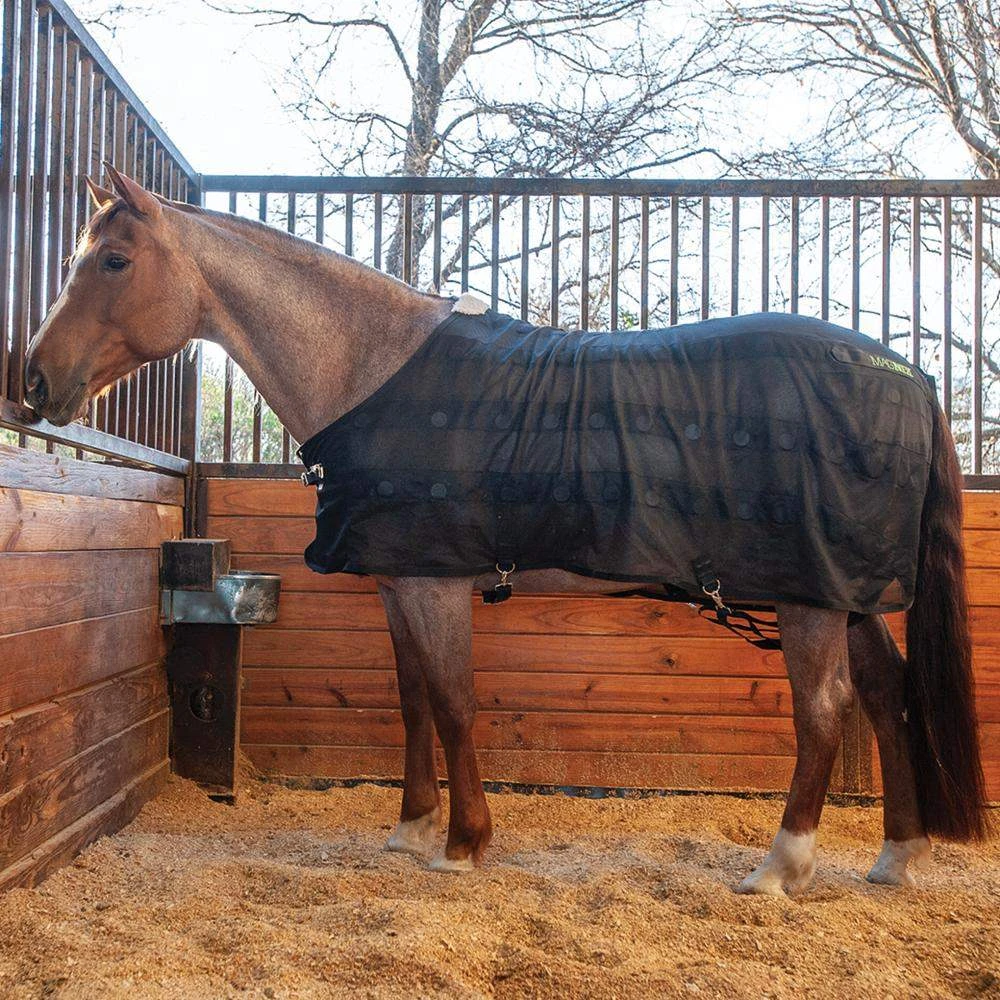 Classic Black MAGNTX Magnetic Horse Sheet 1 Classic Black MAGNTX Magnetic Horse Sheet