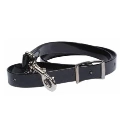 Professionals Choice 1in Biothane Tie Down Strap