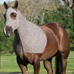 Weaver Leather Small Equiskinz Lycra Hood -Western Tack Sales Shop 35 1535 fromShopify 2