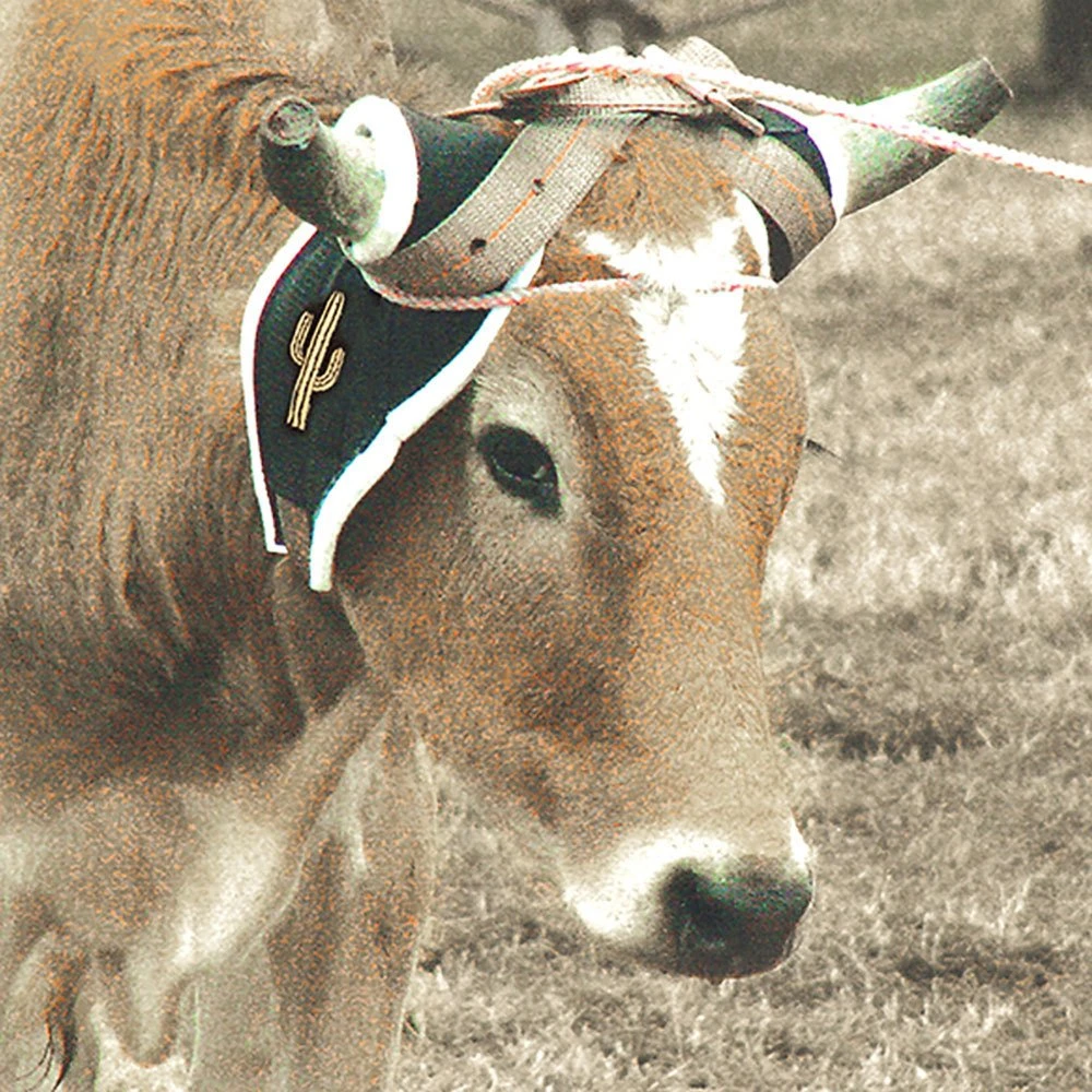 Cactus Gear Ropes Deluxe Horn Wrap 1 Cactus Gear Ropes Deluxe Horn Wrap