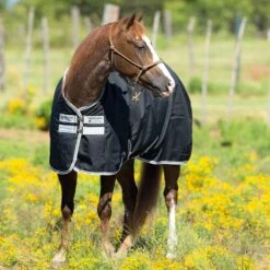 Horseware Amigo Stock Horse T/O Lite -Western Tack Sales Shop AARA1S KI00 2