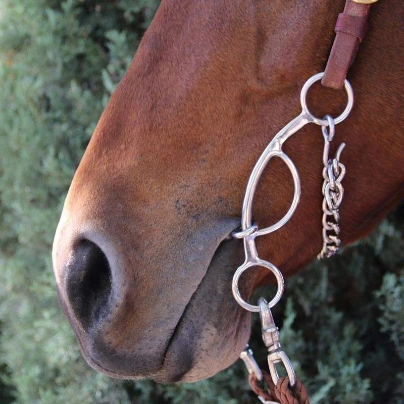 Professionals Choice Futurity 3 Piece Smooth Bit 2 Professionals Choice Futurity 3 Piece Smooth Bit - Image 2