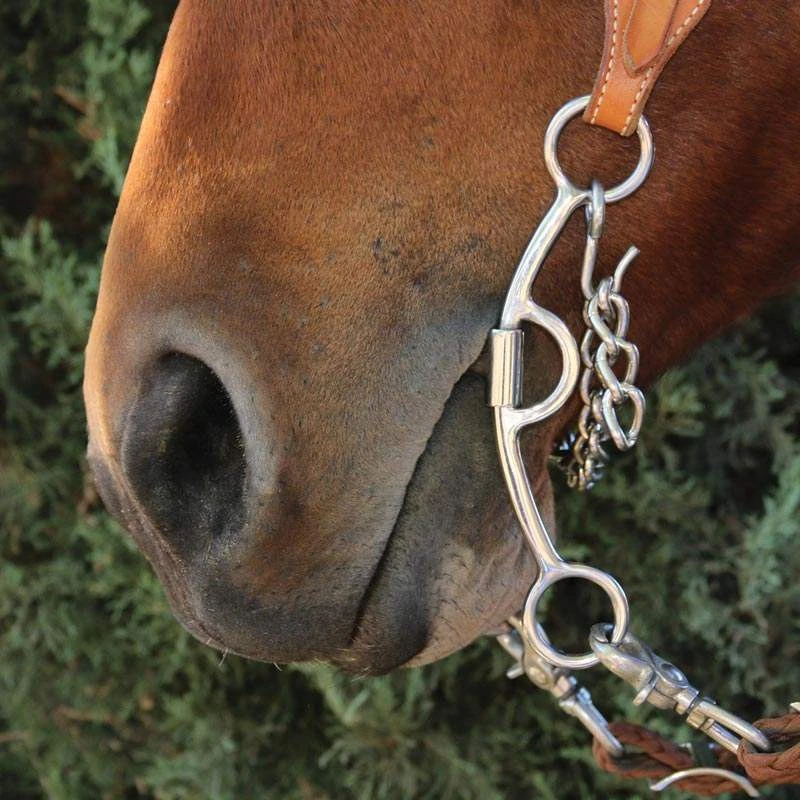 Professionals Choice Derby Chain Mouth Bit 2 Professionals Choice Derby Chain Mouth Bit - Image 2