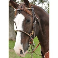 Martin Saddlery Chocolate Single Rope Martin Saddlery Noseband 5 Martin Saddlery Chocolate Single Rope Martin Saddlery Noseband -Western Tack Sales Shop NB100SRCH 3