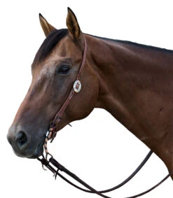 Nrs Tack Headstall With A Single Sunflower Buckle -Western Tack Sales Shop NRS SLTEHO 410D 1
