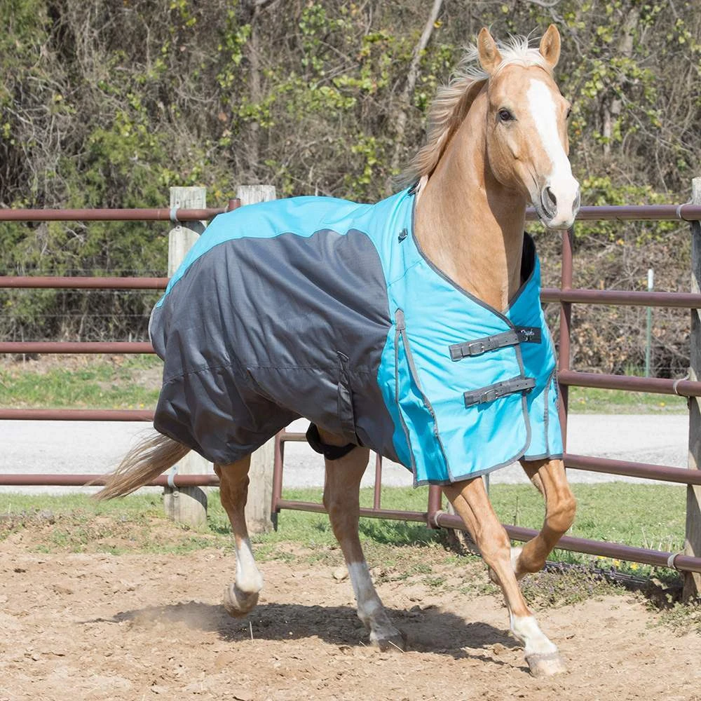 NRS New Turnout Horse Blanket 3 NRS New Turnout Horse Blanket - Image 3