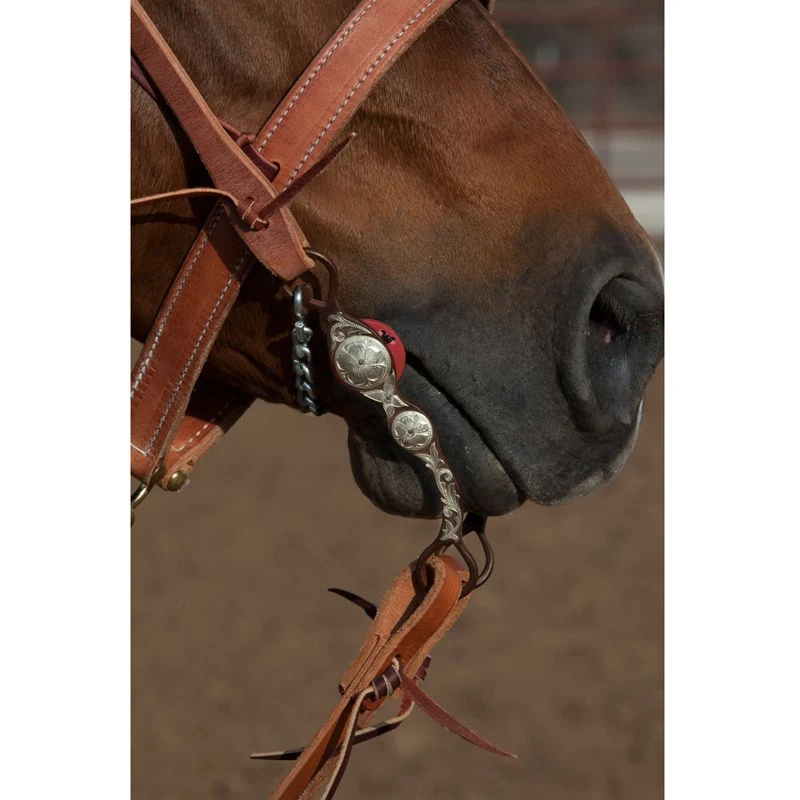 Front Page -Western Tack Sales Shop NRSTB03 style
