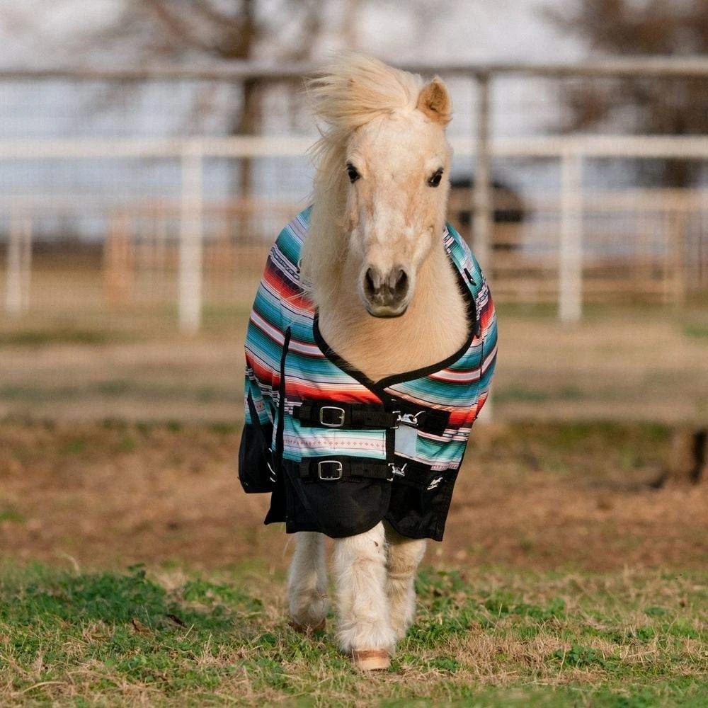 Professionals Choice Santiago 1200D Mini Horse Winter Blanket 2 Professionals Choice Santiago 1200D Mini Horse Winter Blanket - Image 2