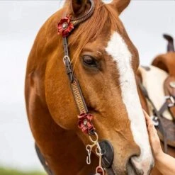 Circle Y Saddlery Sarah Rose Vintage Single Ear Headstall -Western Tack Sales Shop X0204 100V 3