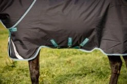 Horseware Ireland Amigo Bravo 12 Plus 250g 5 Horseware Ireland Amigo Bravo 12 Plus 250g -Western Tack Sales Shop aarp72 bde0 20side