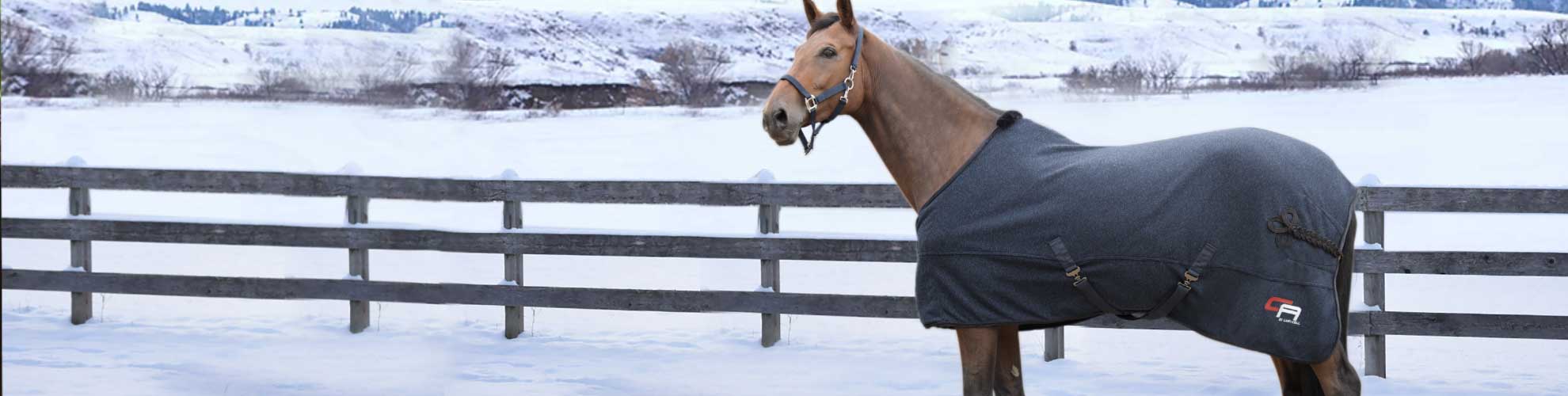 Front Page -Western Tack Sales Shop banner654